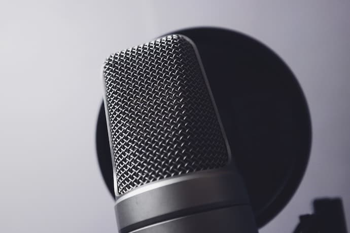 Live Vocal Microphone