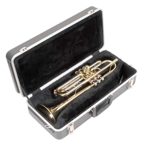 Black Trumpet Case