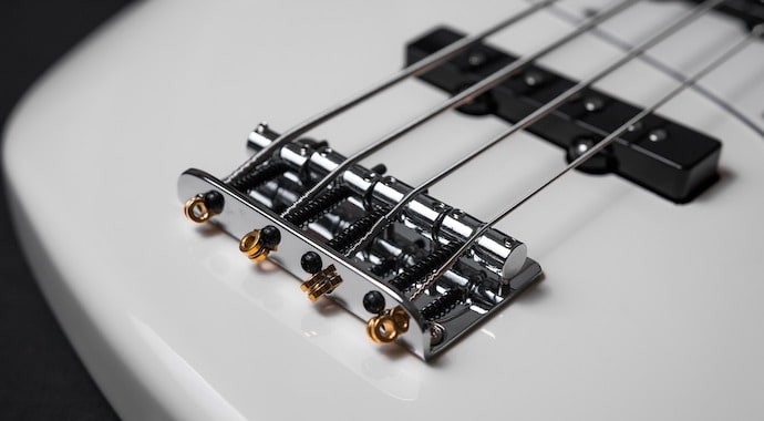 White Bass Bridge and Strings
