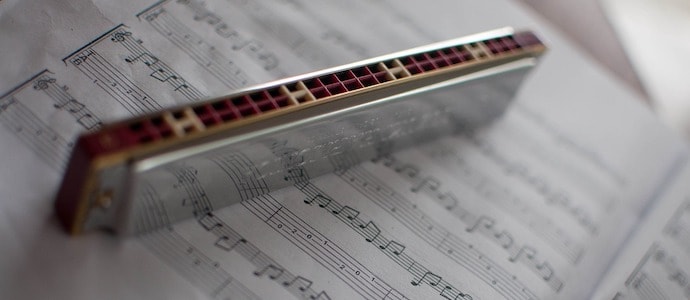 Harmonica and Music Theory Book