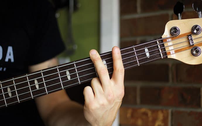 5 String Bass Fretboard