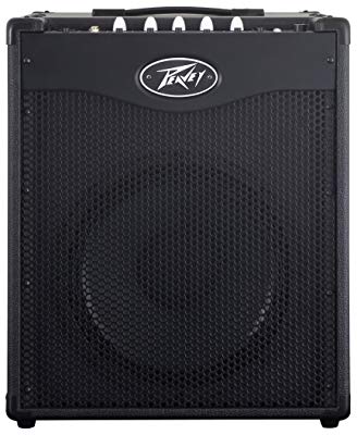 best bass amp speakers