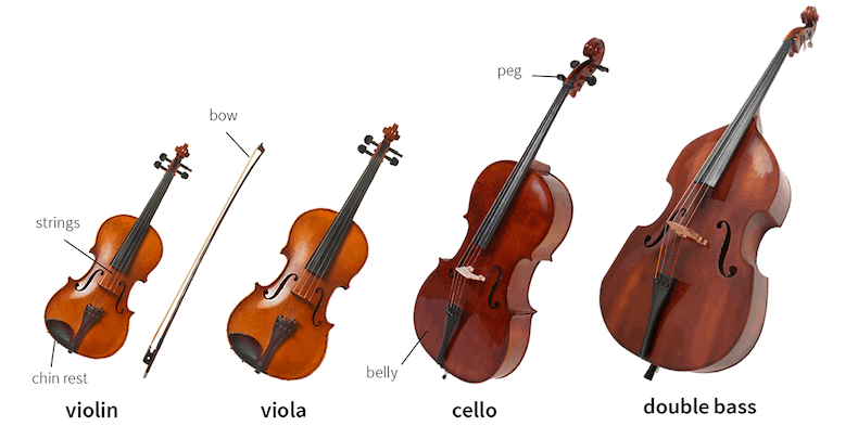 Viola Vs Violin Key Differences And Which Ones For You
