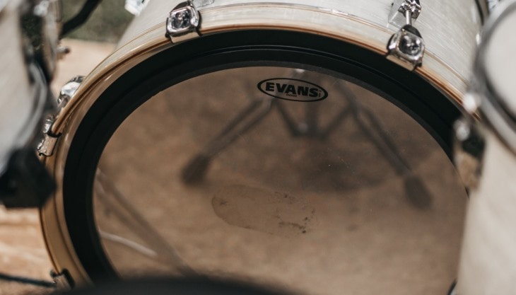 23-best-cats-in-kick-drums-cool-cats-cats-drums